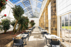 The same terrace but now fully restored with a glass roof, large glass windows and an indoor garden. Tables and chairs are also set out as part of a new terrace cafe.