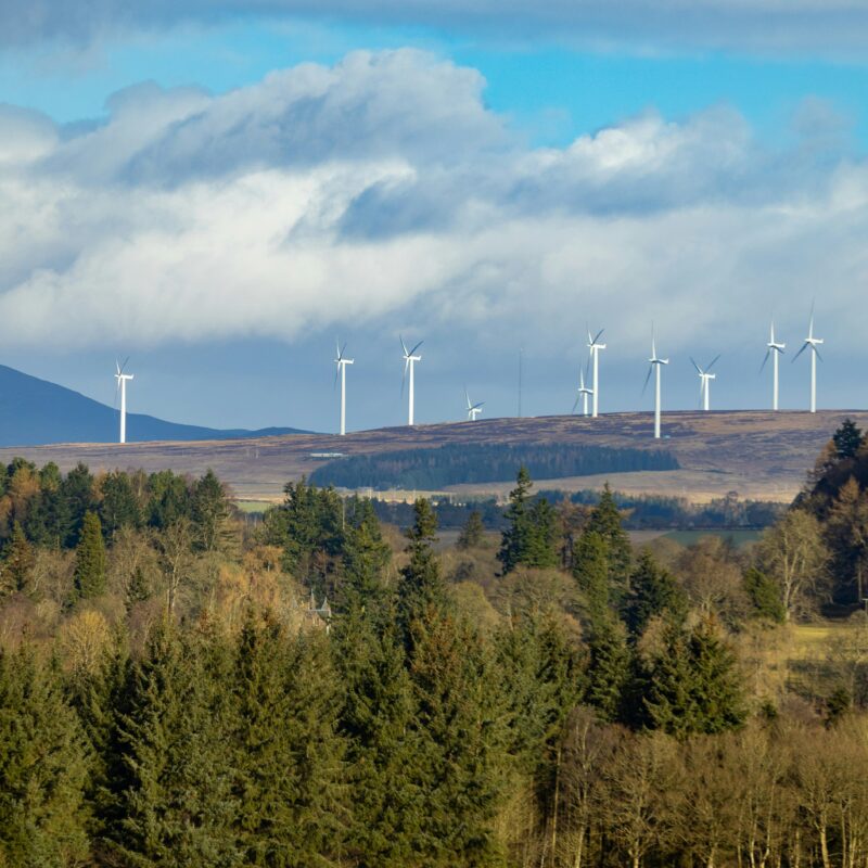 Photograph of a Scottish landscape, with trees in the foreground and a wind farm on the horizon.