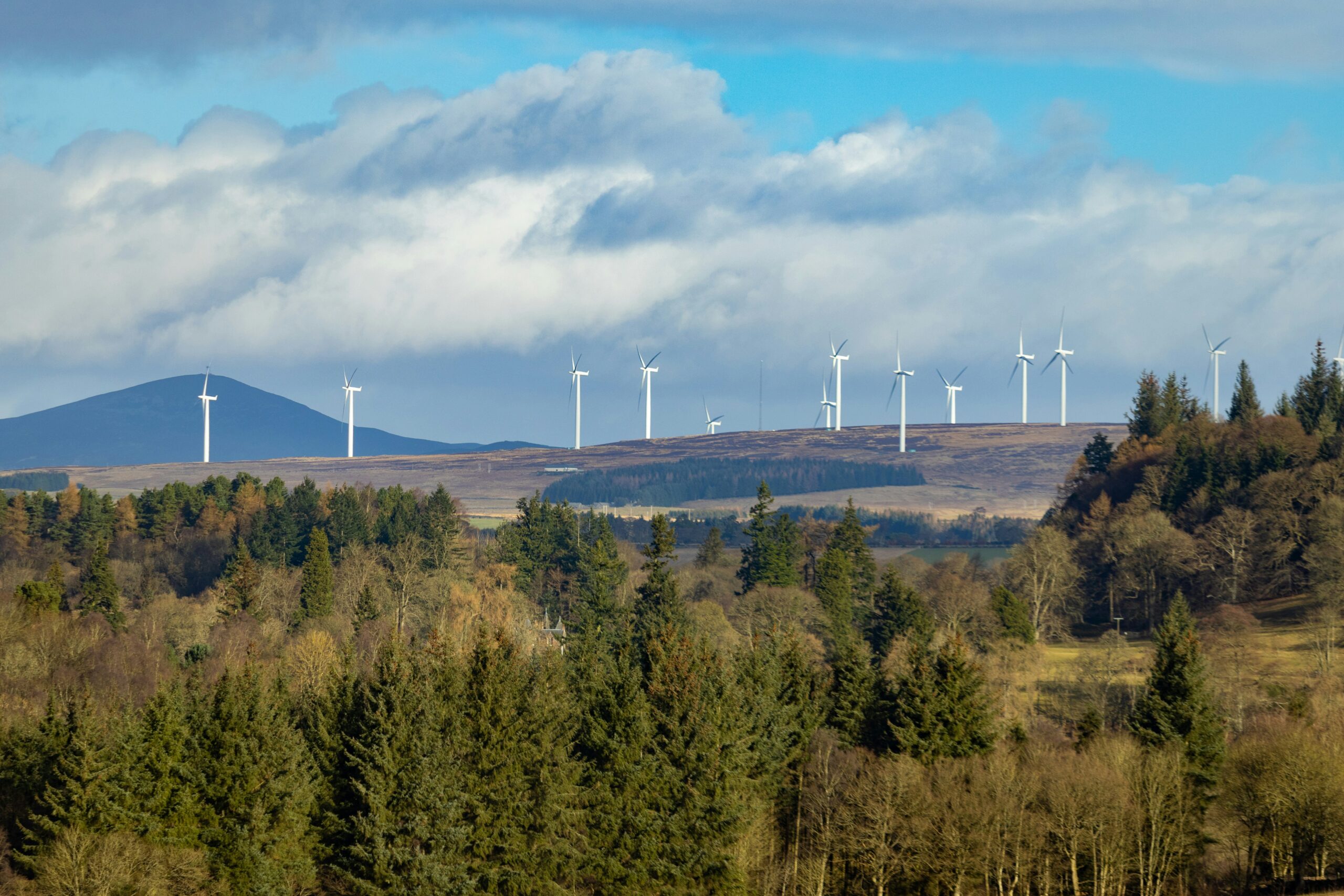 Photograph of a Scottish landscape, with trees in the foreground and a wind farm on the horizon.