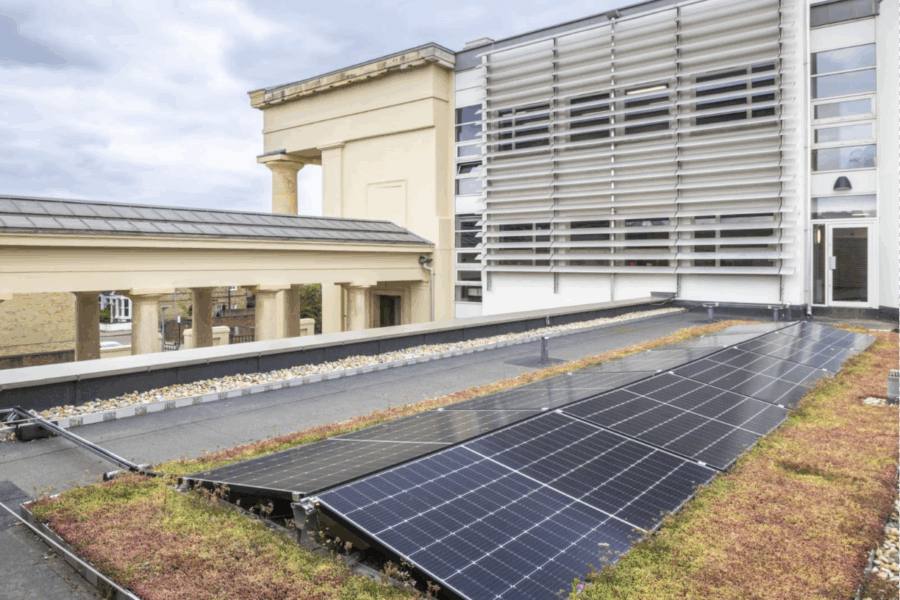 Solar panels on moss green roof of building, with taller section of building behind. In the background a building with cream columns joins the newer building.