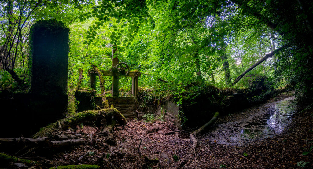 Photograph of mill ruins in a mossy wood.
